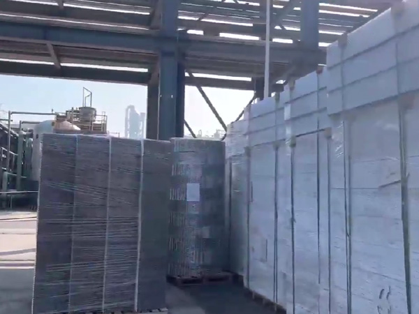 四川福華集團  二乙酯項目，塔內(nèi)件，填料